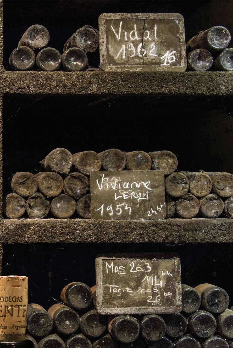 Aged wine bottles stored on shelves in a traditional cellar